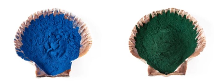 The difference between blue spirulina and ordinary spirulina