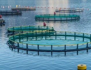 Aquaculture industry