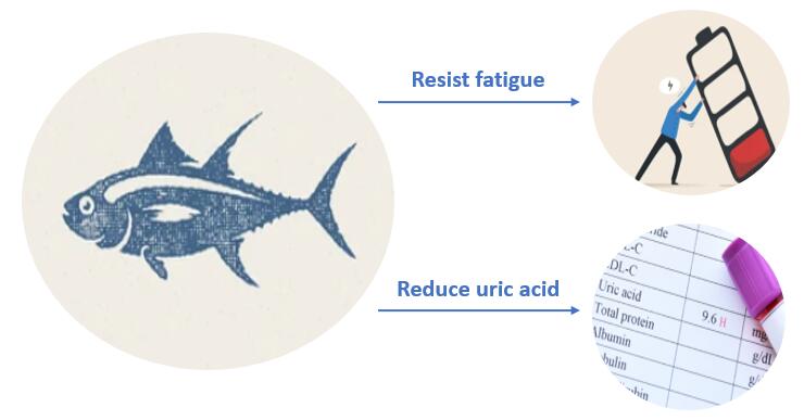 Tuna Peptide Functions