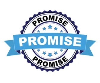 Our Promise