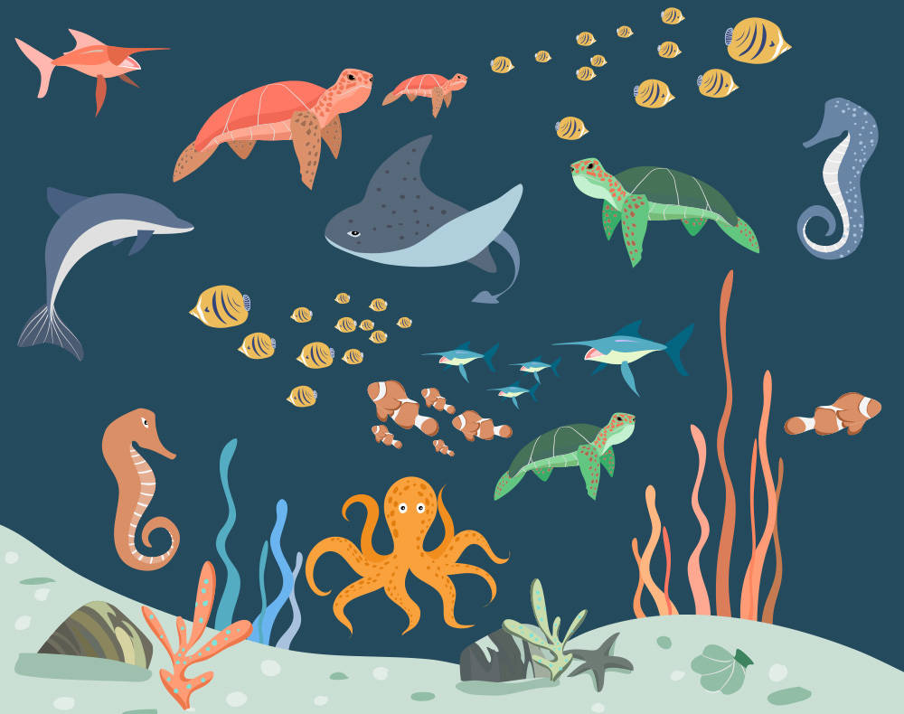 Types of Marine Organisms